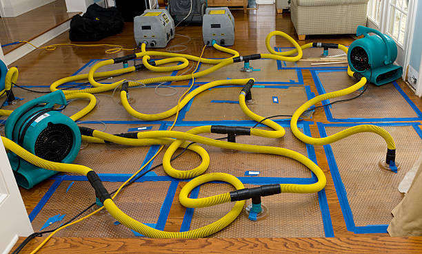 Professional Water Extraction technician working in Wentzville, MO